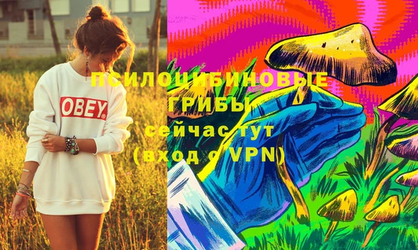 первитин Няндома