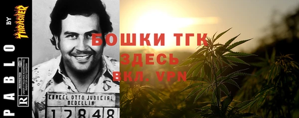 первитин Няндома