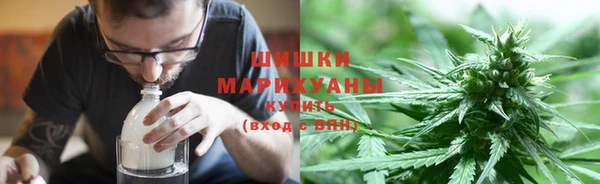 сатива Нягань